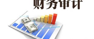 企業(yè)為什么要做財(cái)務(wù)審計(jì)？