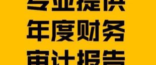 財務(wù)報表審計報告的費用是多少？
