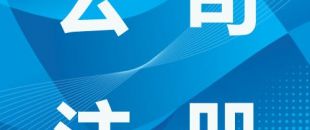 深圳創(chuàng)業(yè)總結(jié)，注冊公司有哪些類型？